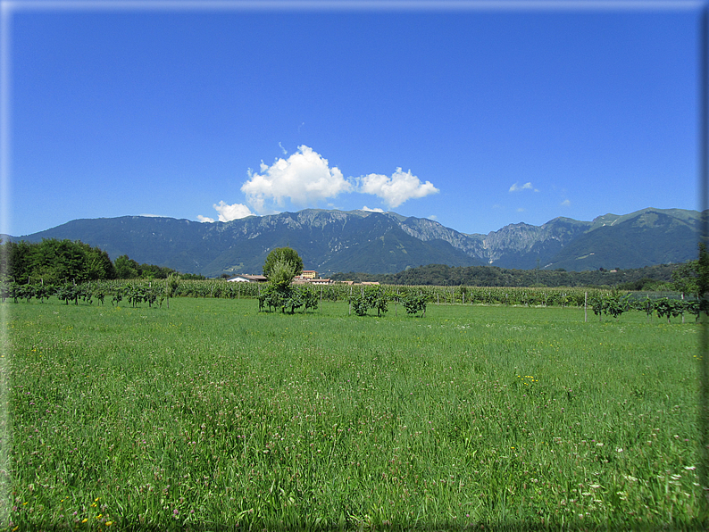 foto Paesaggi tra i Colli